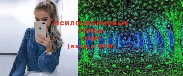 PSILOCYBIN Козловка