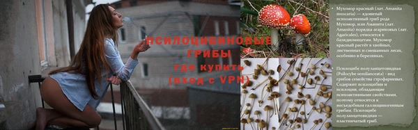 эйфоретик Кодинск