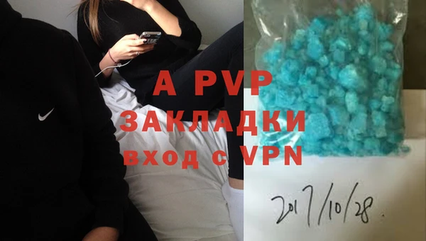 PSILOCYBIN Козловка