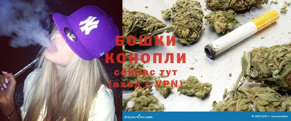 PSILOCYBIN Козловка