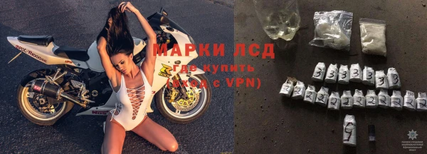 PSILOCYBIN Козловка