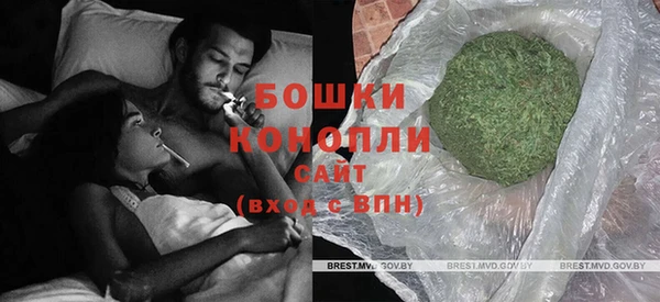 PSILOCYBIN Козловка