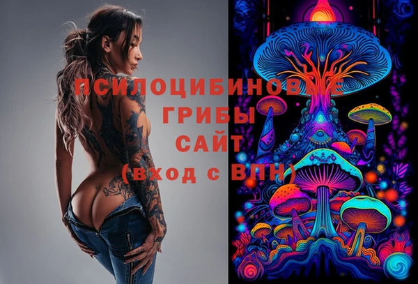 PSILOCYBIN Козловка