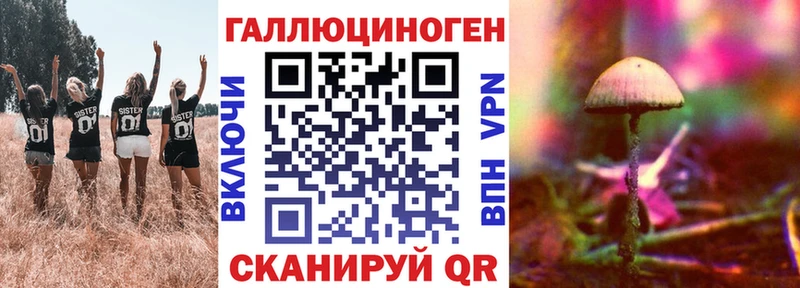 Купить где  Боровичи  Галлюциногенные грибы Psilocybine cubensis 