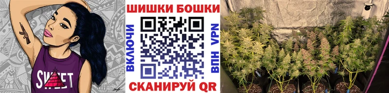Шишки марихуана план  Купить  Боровичи 